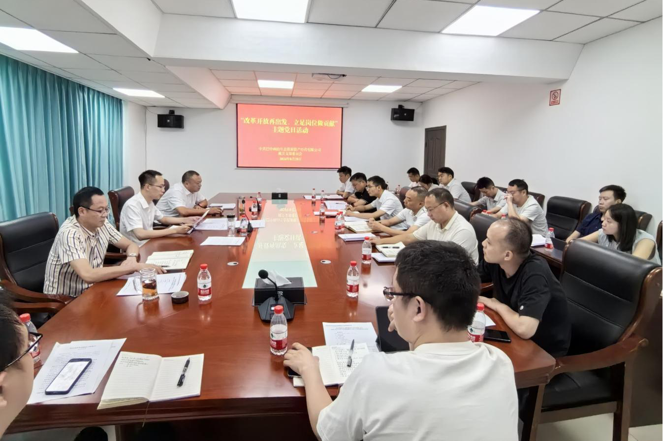 巴中兩山公司開展“改革開放再出發(fā)、立足崗位做貢獻”主題黨日活動